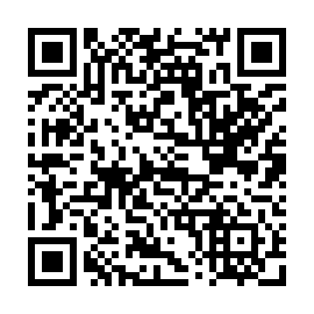 QR code for plate DX 2941