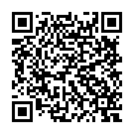 QR code for DX3817