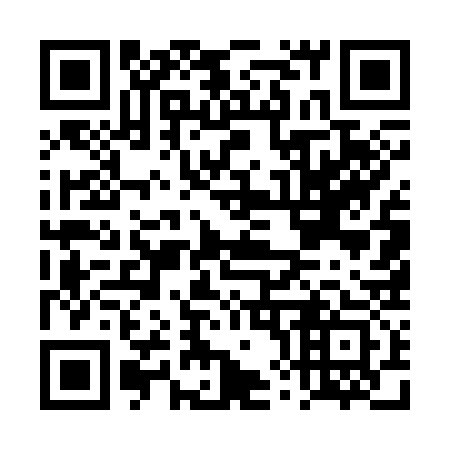 QR code for plate DX 5333