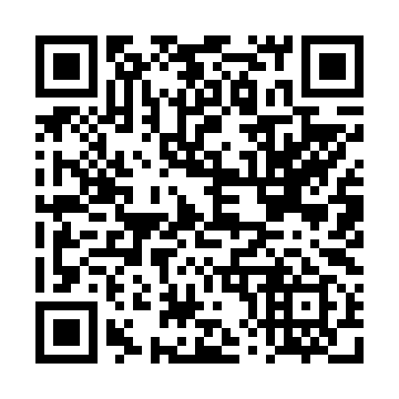 QR code for DX9699