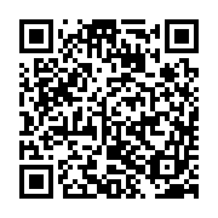 QR code for plate DXB 353