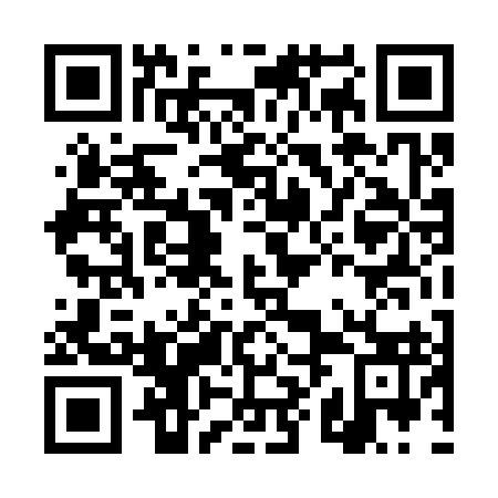 QR code for DXD 393