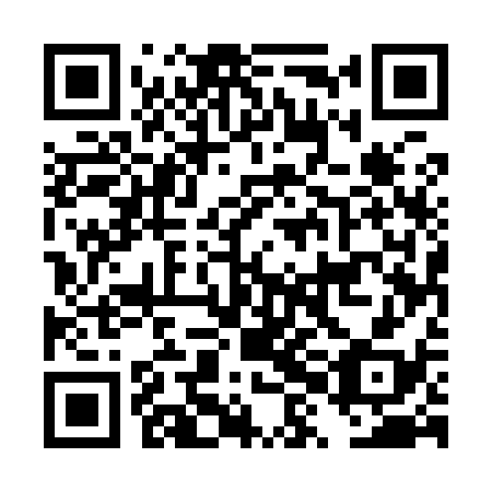 QR code for DXE 938