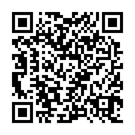 QR code for DXF300