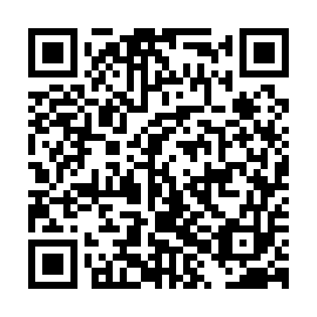 QR code for DXG 153