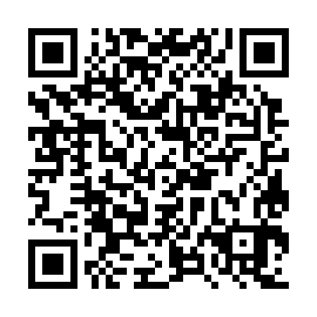 QR code for DXG 383