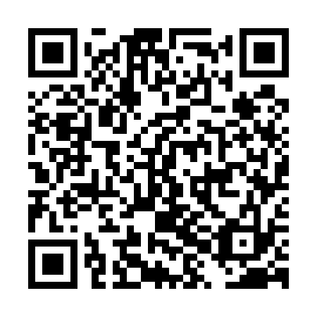 QR code for DXG 533