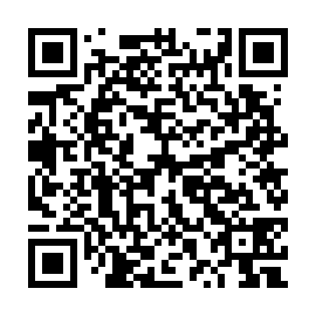 QR code for DXG 738