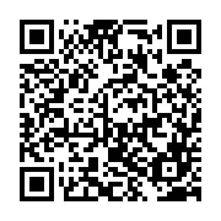 QR code for plate DXG 546