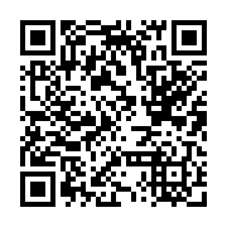 QR code for plate DXH 308