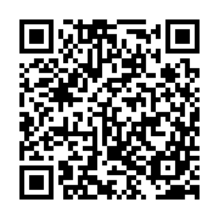 QR code for DXI347