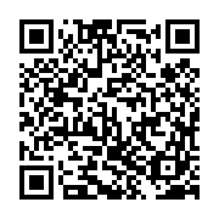 QR code for plate DXJ 463