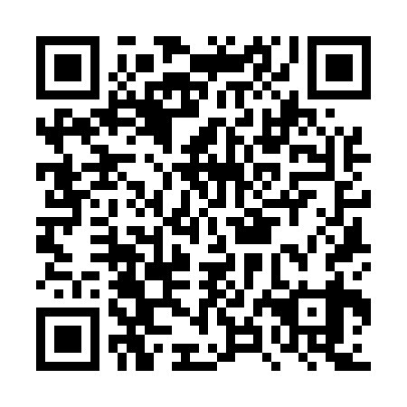 QR code for plate DXK 539