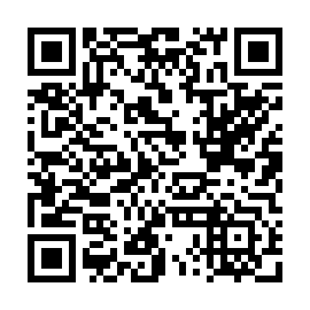 QR code for DXL 243