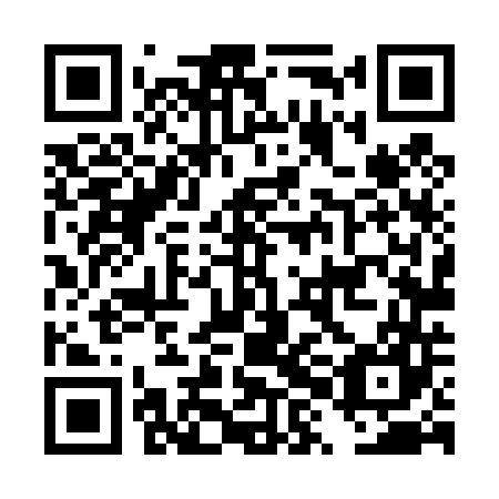 QR code for DXL 447