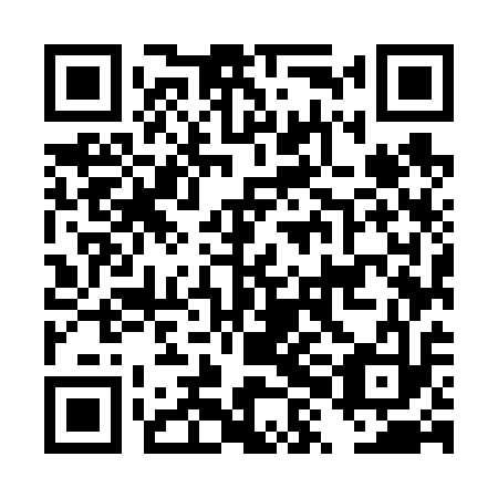 QR code for DXM 613