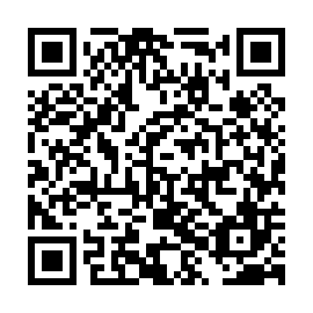 QR code for plate DXM 006