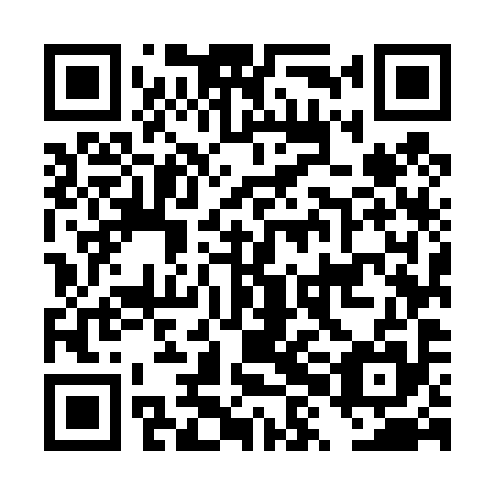 QR code for plate DXM 495