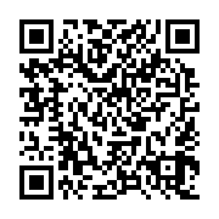 QR code for DXN 349