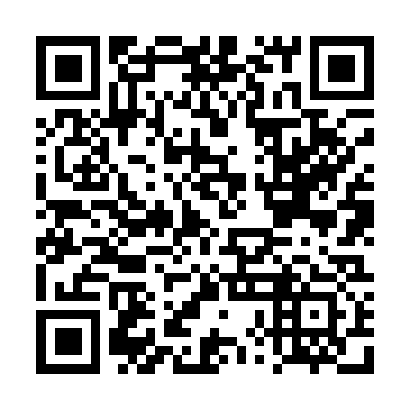 QR code for plate DXN 133