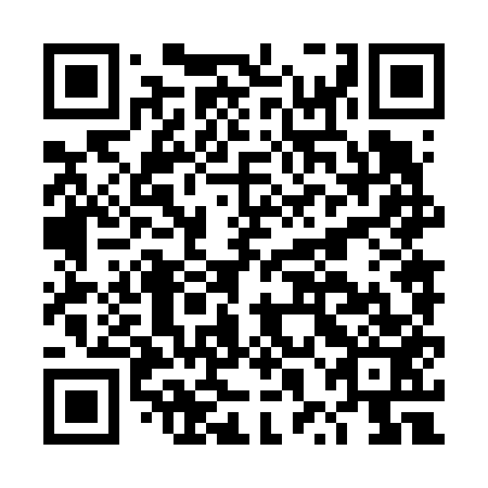 QR code for plate DXN 653