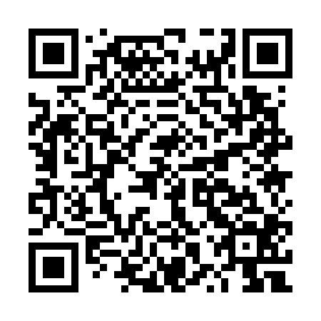 QR code for plate DXQ 704