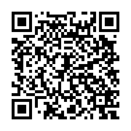 QR code for DXR 029