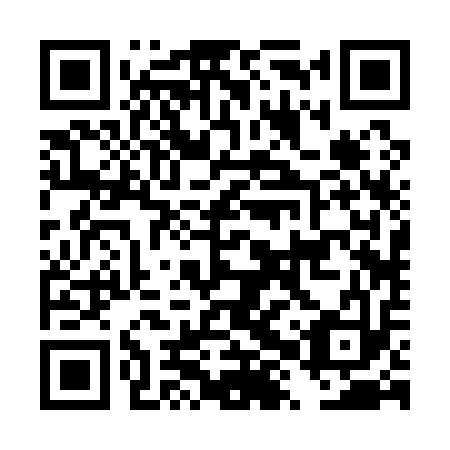QR code for plate DXR 113