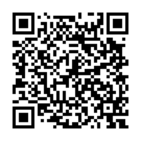 QR code for plate DXS 095