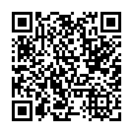 QR code for DXU339