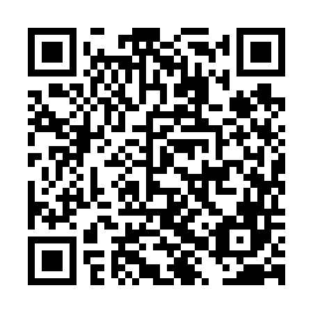 QR code for plate DXY 646