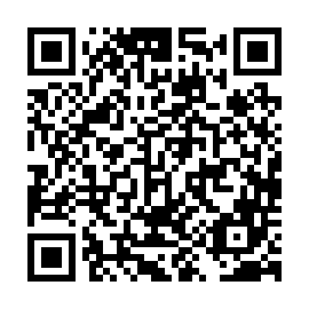 QR code for DY 0246