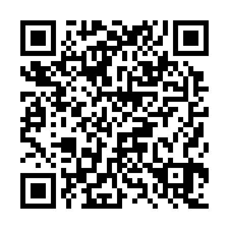 QR code for DY 0323