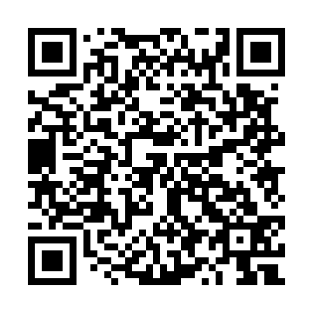 QR code for DY 0533