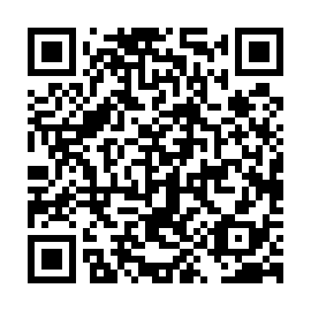 QR code for DY 0538