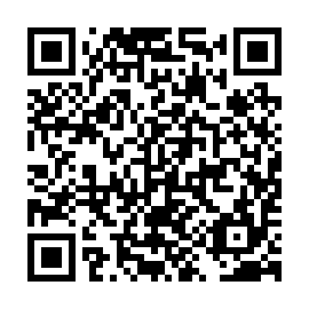 QR code for DY 1294