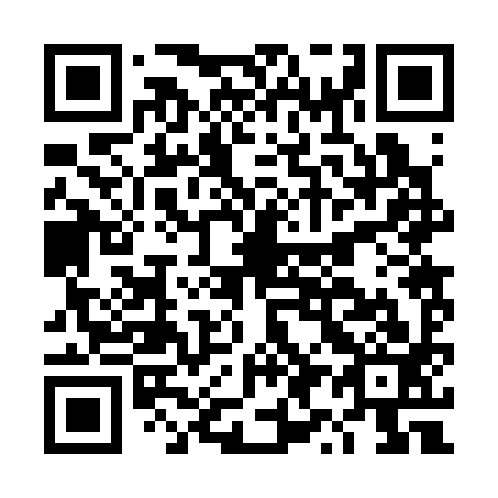 QR code for DY 2393
