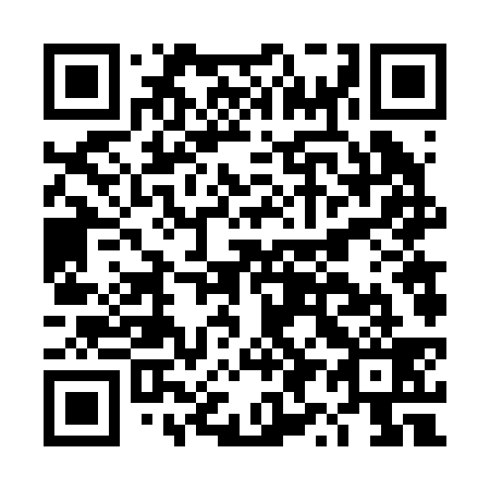 QR code for DY 6239