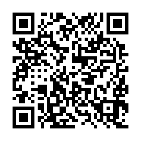 QR code for DY 6393