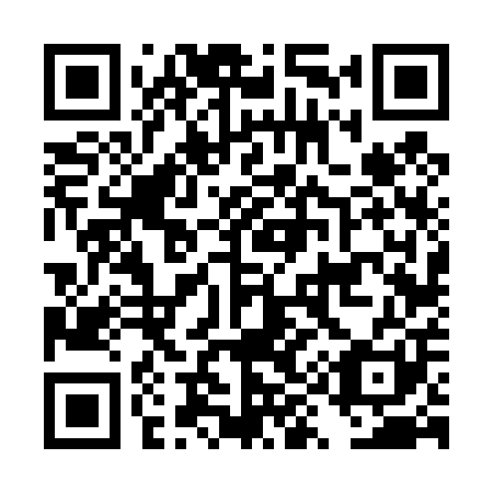 QR code for DY 6401