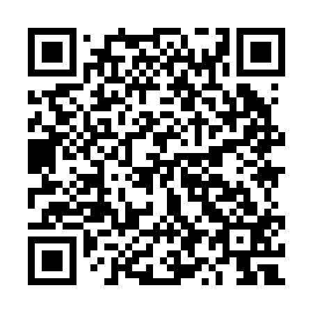 QR code for DY 9213