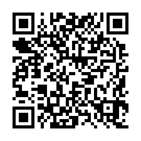 QR code for DY 9383