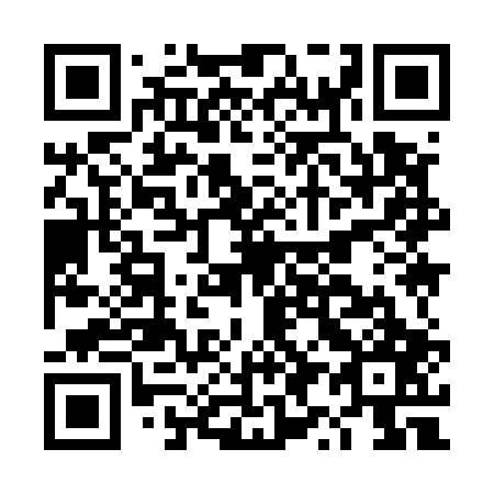 QR code for DY 9507