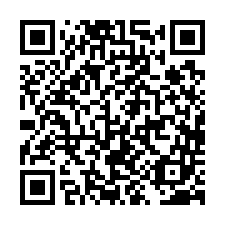 QR code for DY0743