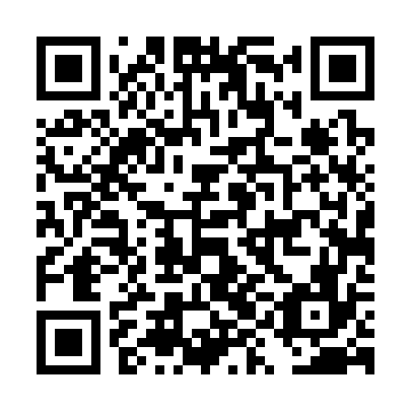 QR code for DYD 376
