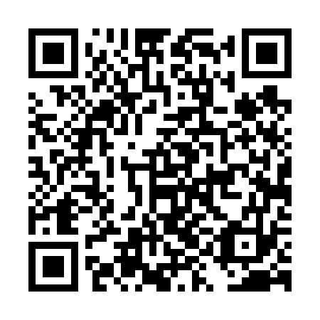 QR code for DYD 673