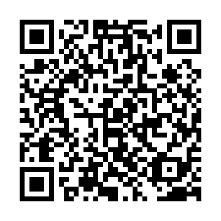 QR code for DYE 119