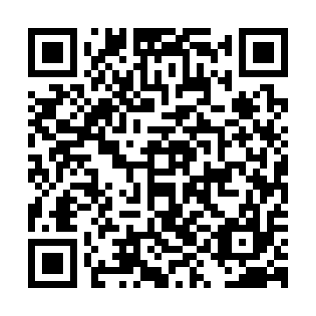 QR code for DYE 317