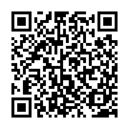 QR code for DYE 740