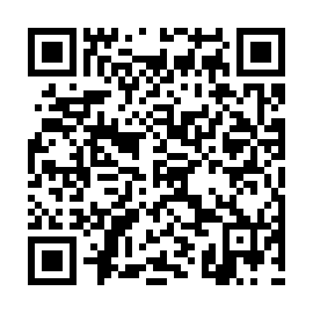 QR code for DYE370